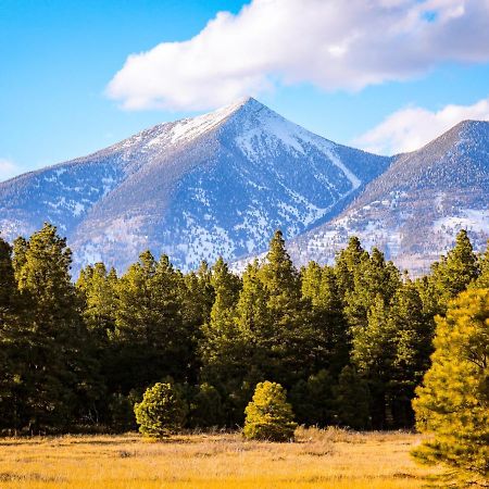 Вилла Mt. Elden Adventure Флагстафф Экстерьер фото