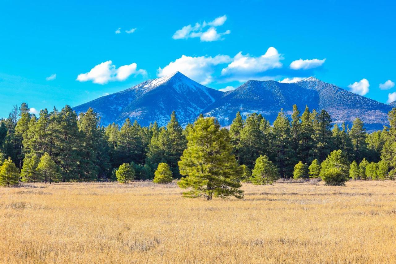 Вилла Mt. Elden Adventure Флагстафф Экстерьер фото