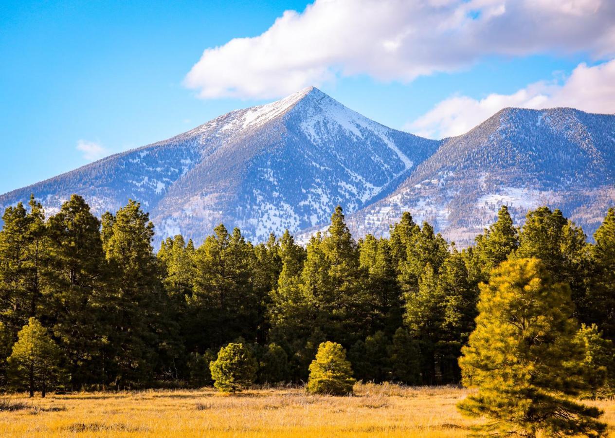 Вилла Mt. Elden Adventure Флагстафф Экстерьер фото